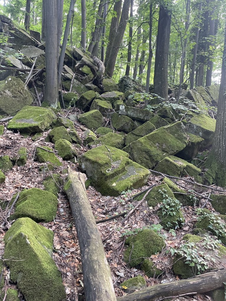 2026-06-06 16-36-10