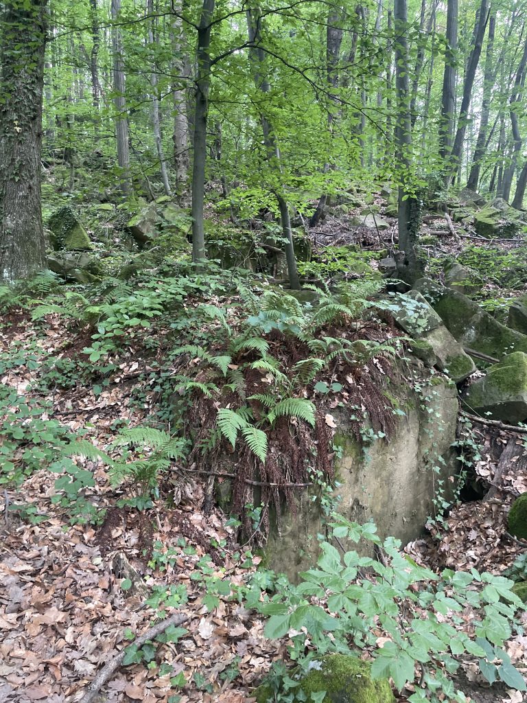 2026-06-06 16-47-57