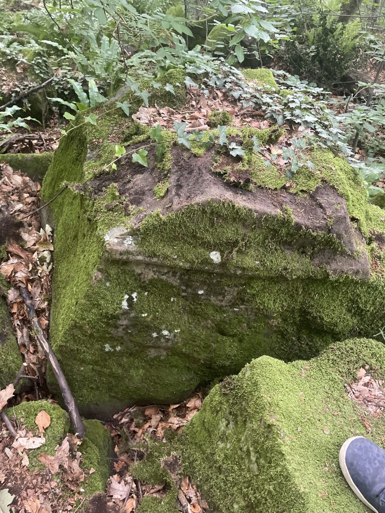 2026-06-06 16-57-48