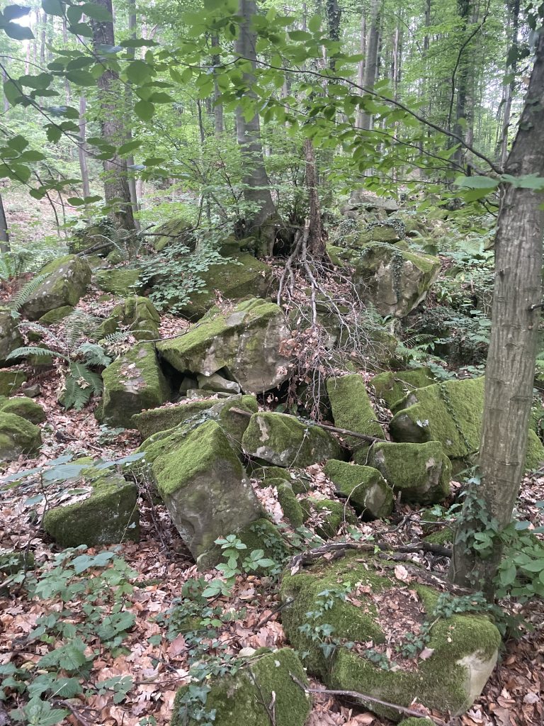 2026-06-06 16-58-58